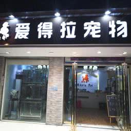 爱得拉宠物:合肥市包河区宿松路附近