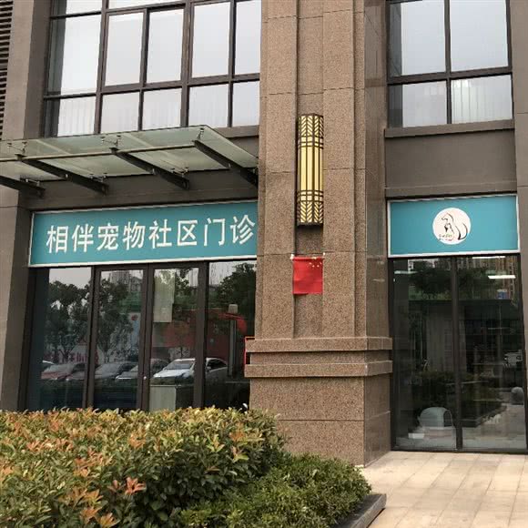相伴宠物医院:合肥市包河区宿松路附近