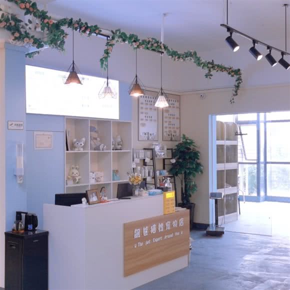 飙爸猫妈宠物店:合肥市包河区包河苑附近