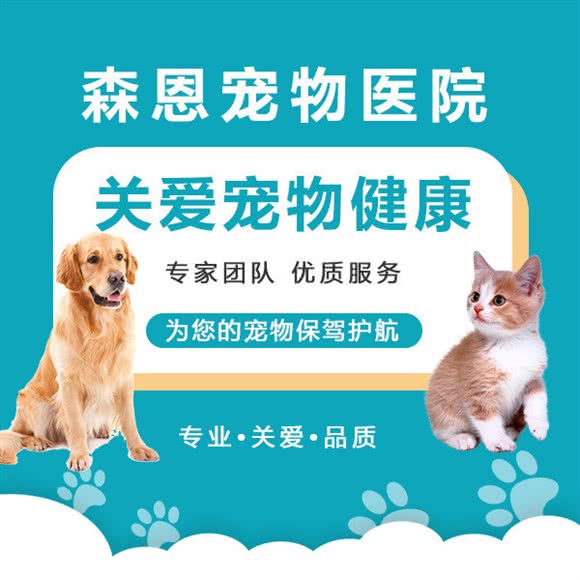 森恩宠物医院:合肥市包河区滨湖银泰城附近
