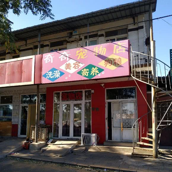 奇奇宠物店:北京城区昌平区南口镇附近