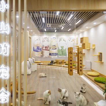 小山竹宠舍:芜湖市弋江区新时代商业街附近
