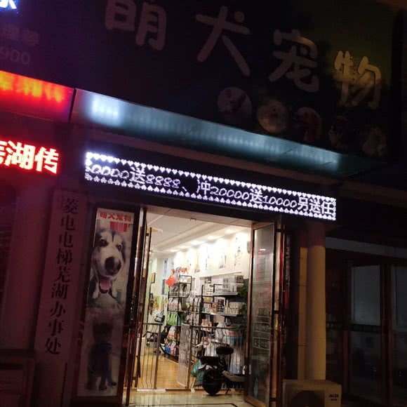 萌犬宠物:芜湖市湾沚区湾沚区附近