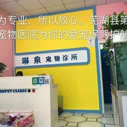琳泉宠物:芜湖市湾沚区湾沚区附近