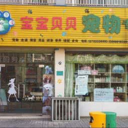 宝宝贝贝宠物专卖:芜湖市繁昌区繁昌区附近
