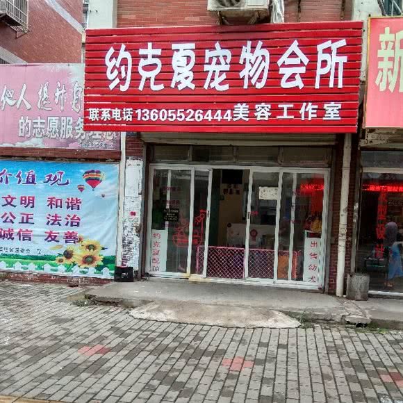 约克夏宠物会所:蚌埠市龙子湖区交通路附近