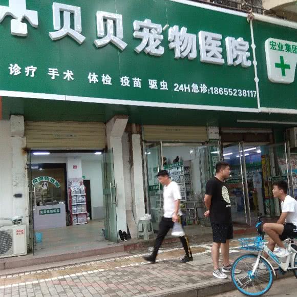 贝贝宠物医院:蚌埠市龙子湖区解放路附近