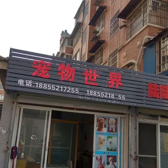 宠物世界:蚌埠市蚌山区工农路附近