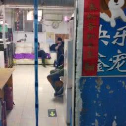 快乐鑫宠:北京城区朝阳区望京附近