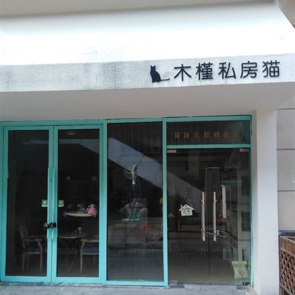 木槿私房猫:蚌埠市蚌山区万达广场附近