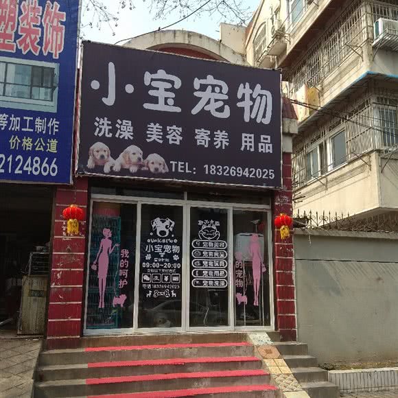 小宝宠物:蚌埠市蚌山区宏业村附近