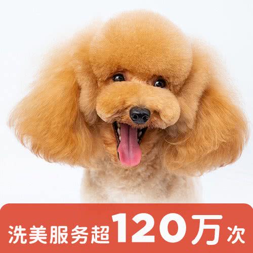 宠物家(枫丹壹号店):北京城区大兴区亦庄附近