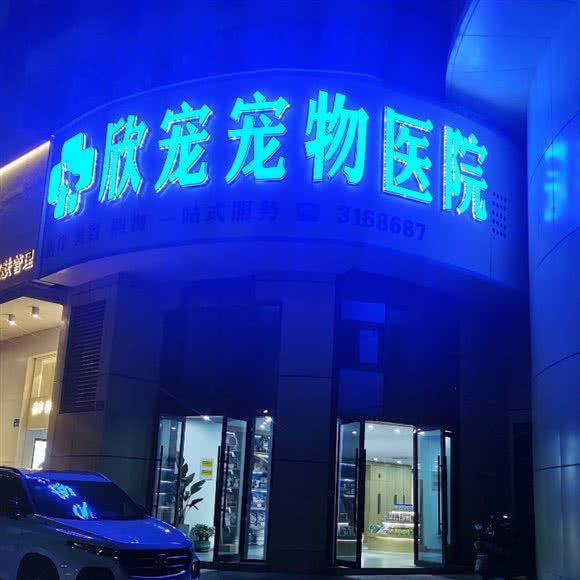 欣宠宠物医院:蚌埠市蚌山区银泰城附近