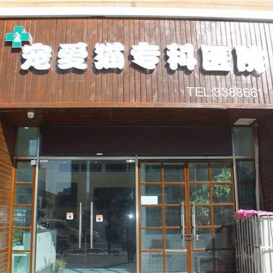 宠爱猫专科医院:蚌埠市蚌山区银泰城附近