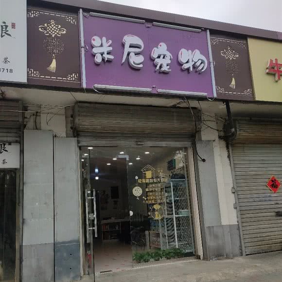 米尼宠物:蚌埠市禹会区禹会区中心/张公山附近
