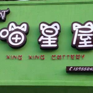 喵星屋(红旗一路店):蚌埠市禹会区禹会区中心/张公山附近