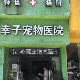 幸子宠物:淮南市田家庵区商贸文化广场附近