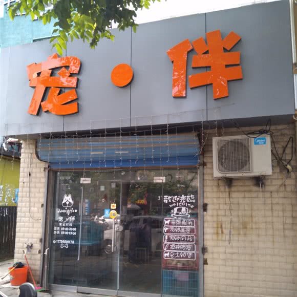 宠伴:淮南市田家庵区学院路教院附近
