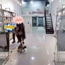 宠爱有家:淮南市田家庵区纸厂/田家庵发电厂附近