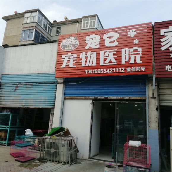 宠它宠物医院:淮南市田家庵区泉山附近