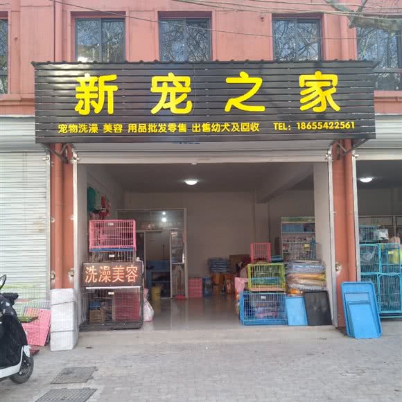 新宠之家:淮南市田家庵区街里附近