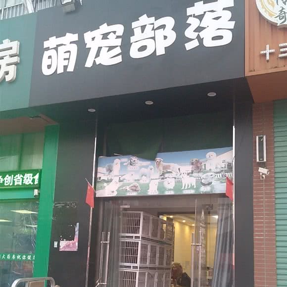萌宠部落:淮南市田家庵区老体育场附近
