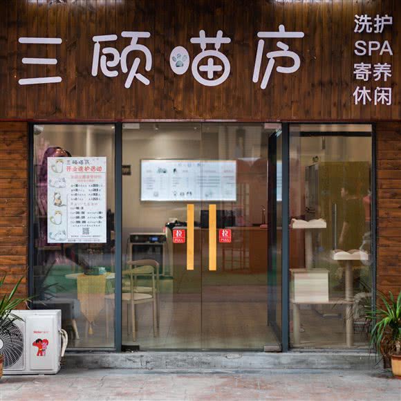 三顾喵庐:淮南市田家庵区龙湖中心附近