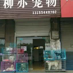 柳亦宠物:淮南市谢家集区平山路附近