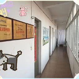马氏宠物医院:淮南市八公山区蔡新南路附近