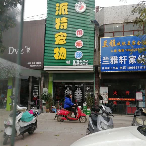 派特宠物俱乐部:淮南市潘集区长江路附近
