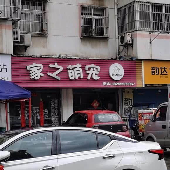 家之萌宠:马鞍山市花山区重阳路附近