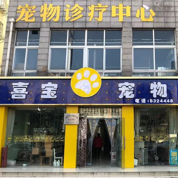 喜宝宠物诊疗中心:马鞍山市花山区康乐路附近