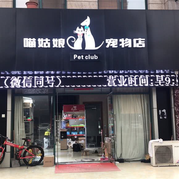 喵姑娘的宠物店(东晖路店):马鞍山市花山区花山美居附近