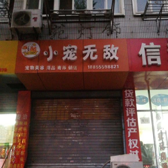 小宠无敌:马鞍山市花山区大润发附近