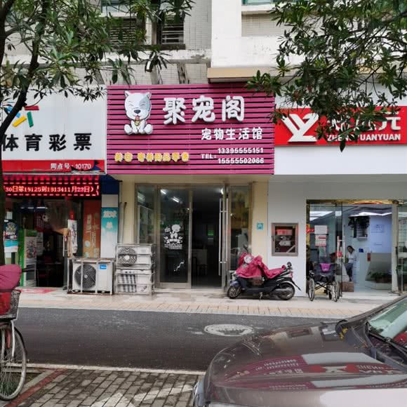 聚宠阁宠物生活馆:马鞍山市花山区市政广场附近