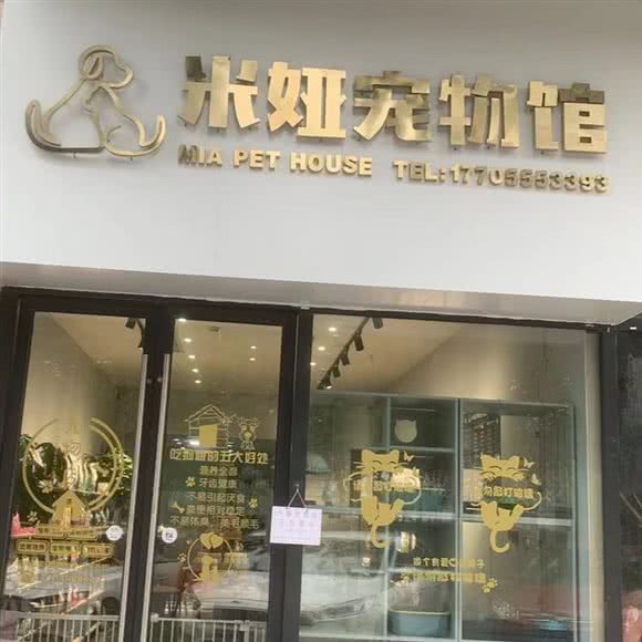 米娅宠物馆:马鞍山市雨山区万达广场附近