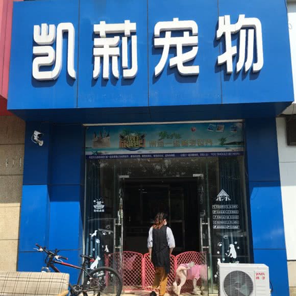 凯莉宠物:马鞍山市雨山区军民路附近