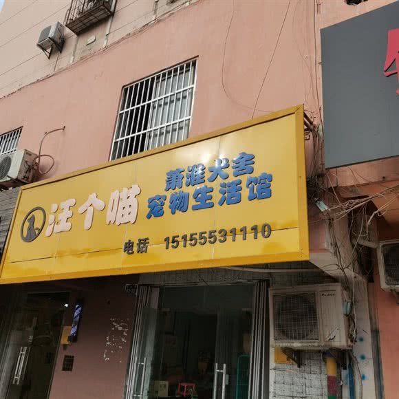 汪个喵萧淮犬舍:淮北市杜集区淮师大附近
