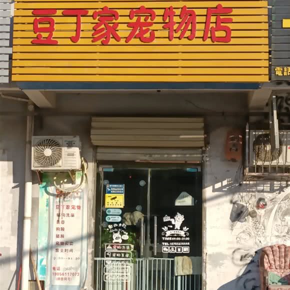豆丁家宠物店:淮北市杜集区高岳路附近