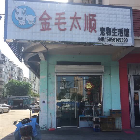 金毛太顺宠物狗生活馆:淮北市相山区人民路沿线附近