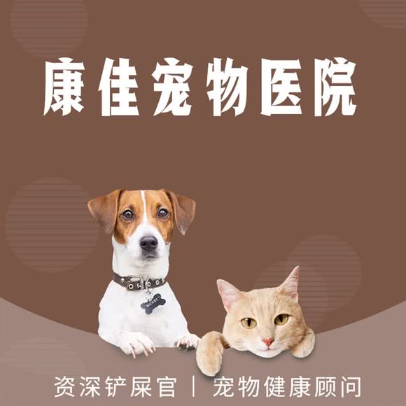 康佳宠物医院:淮北市相山区三马路附近
