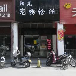阳光宠物医院:淮北市相山区三马路附近