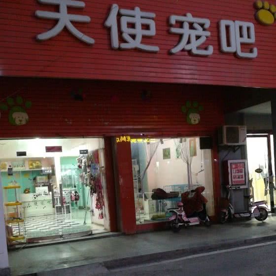 天使宠吧:淮北市相山区步行街附近