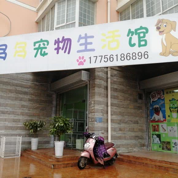 犬多多宠物生活馆:淮北市相山区相山公园附近