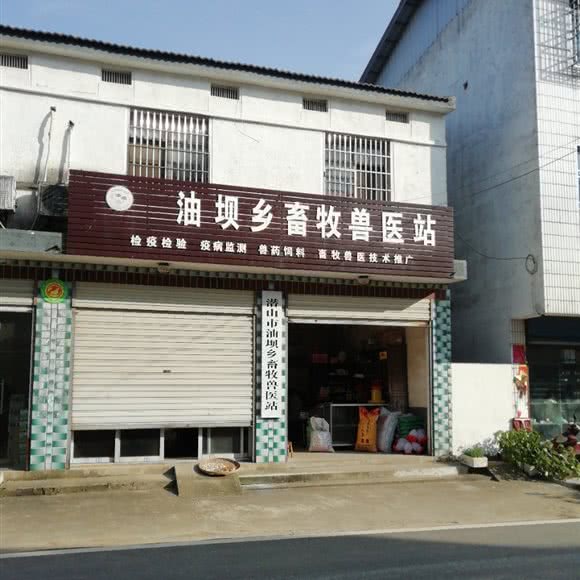 油坝乡畜牧兽医站:安庆市潜山市潜山市附近
