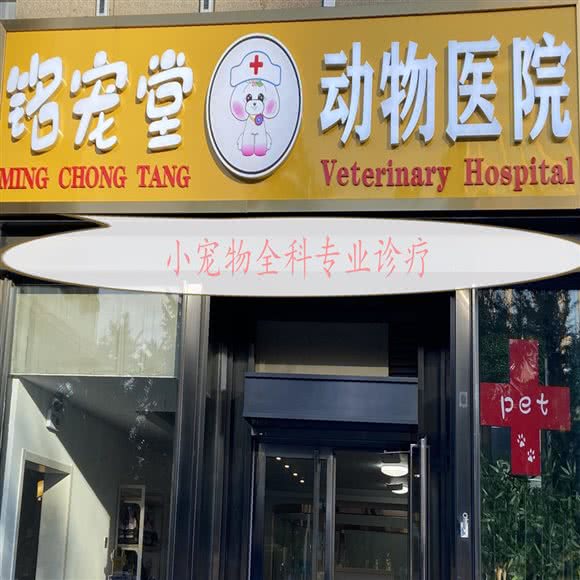 铭宠堂动物医院:北京城区大兴区亦庄附近