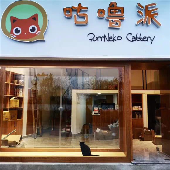 咕噜派猫咪工作室:黄山市屯溪区黎阳老街附近