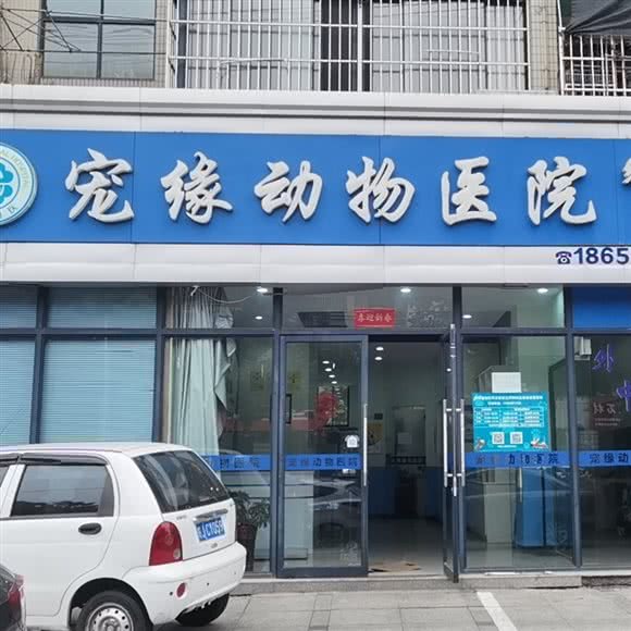 宠缘动物医院:黄山市屯溪区国脉附近