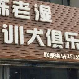陈老师训犬俱乐部(玉屏府店):黄山市屯溪区黄口附近