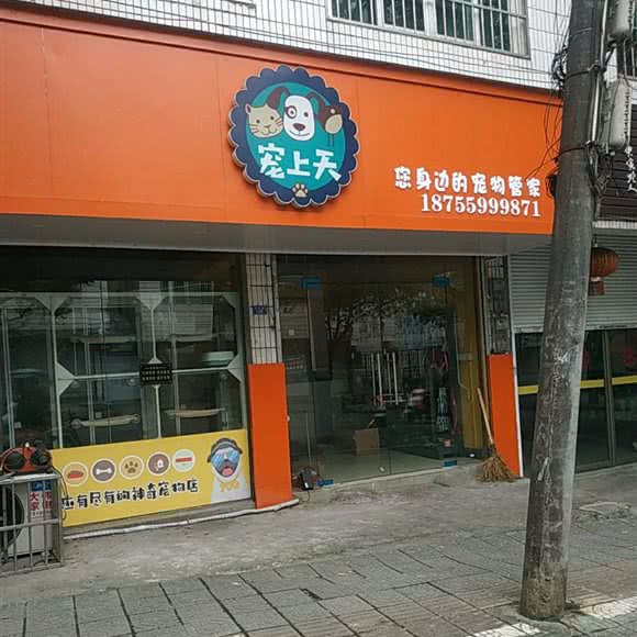 宠上天:黄山市休宁县齐云山镇附近